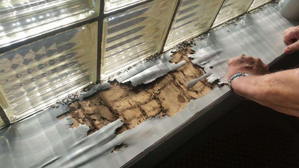 Termite damage near windows